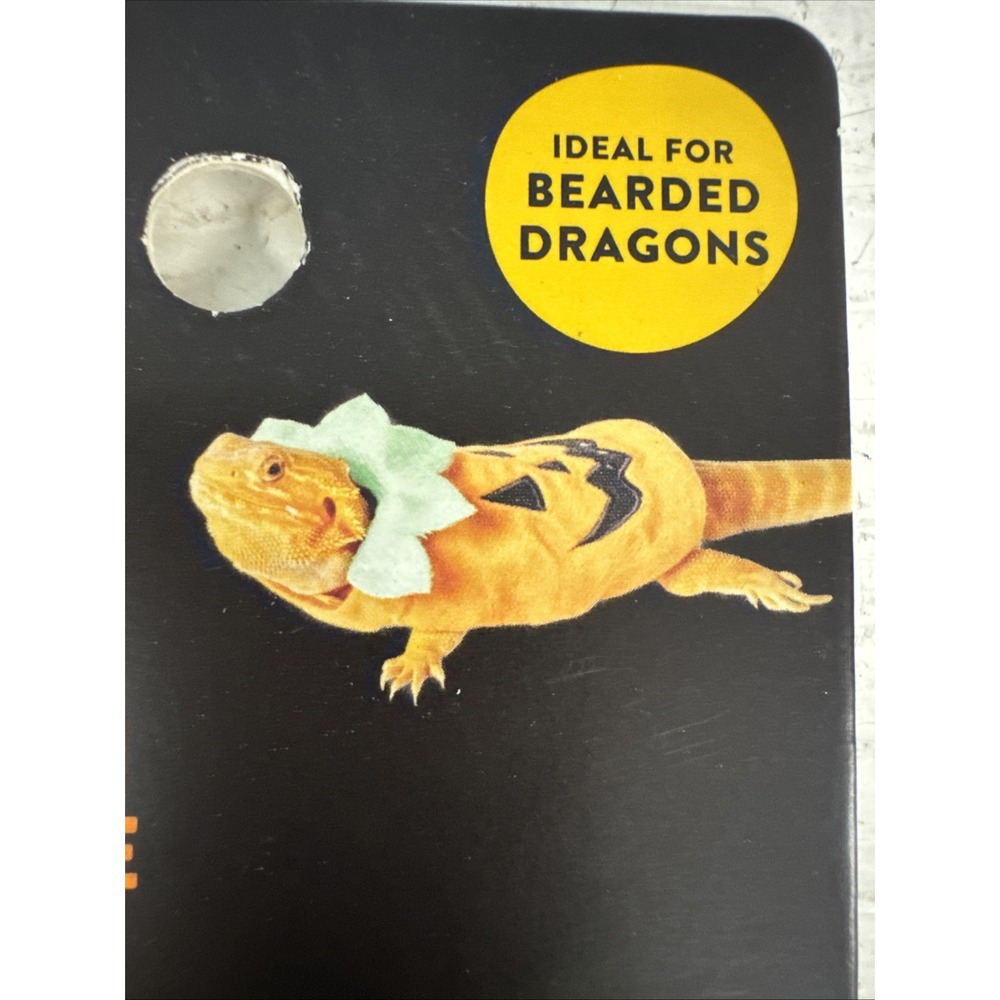 Bearded Dragon Small Animal Costume Pumpkin Jack O Lantern Halloween